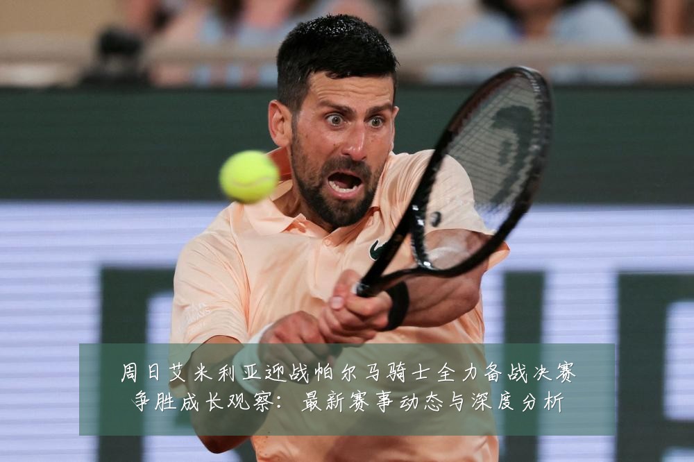 周日艾米利亚迎战帕尔马骑士全力备战决赛争胜成长观察:最新赛事动态与深度分析
